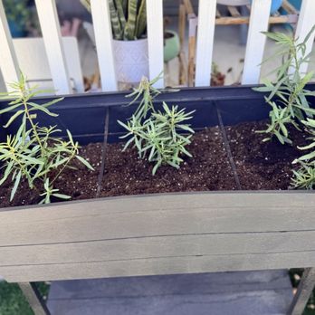 Waterwise Botanicals - Nurseries & Gardening Near Me - Bonsall, California