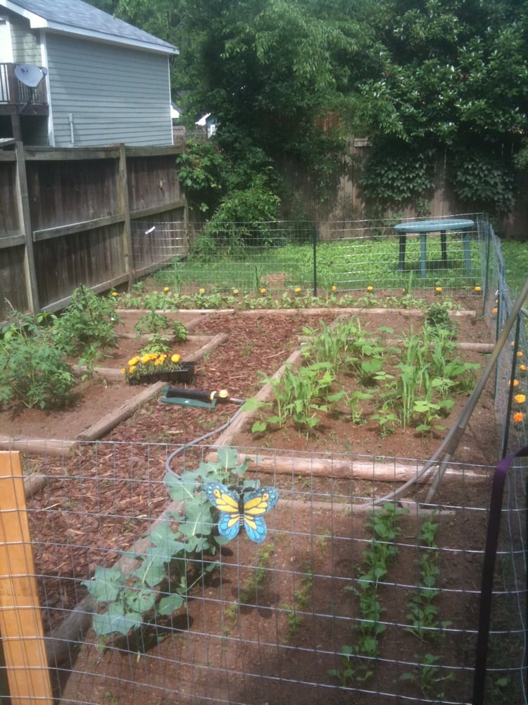 LETTUCE PLANT IT Idaho Ave, Nashville, Tennessee Gardeners Phone Number Yelp