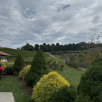 Linville Falls Winery - Vineyard and tree farm. - Wineries Near Me - Newland, North Carolina Linville Falls Winery - Vineyard and tree farm. - Wineries Near Me - Newland, North Carolina