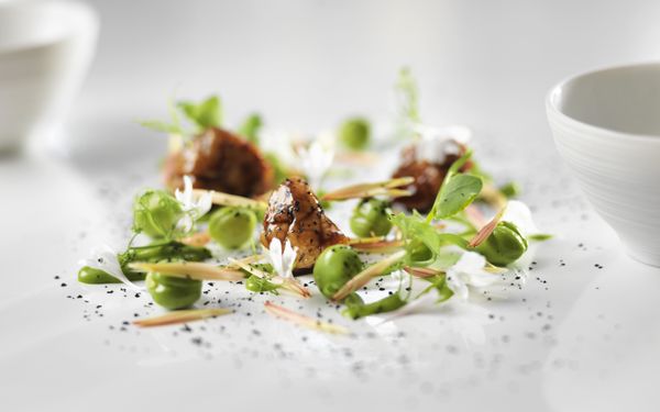 Ecco St. Moritz by null