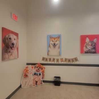 UrgentVet - Oceanside - Veterinarians Near Me - Oceanside, New York UrgentVet - Oceanside - Veterinarians Near Me - Oceanside, New York