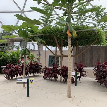 Living With The Land - Inside - Amusement Parks Near Me - Orlando, Florida Living With The Land - Inside - Amusement Parks Near Me - Orlando, Florida