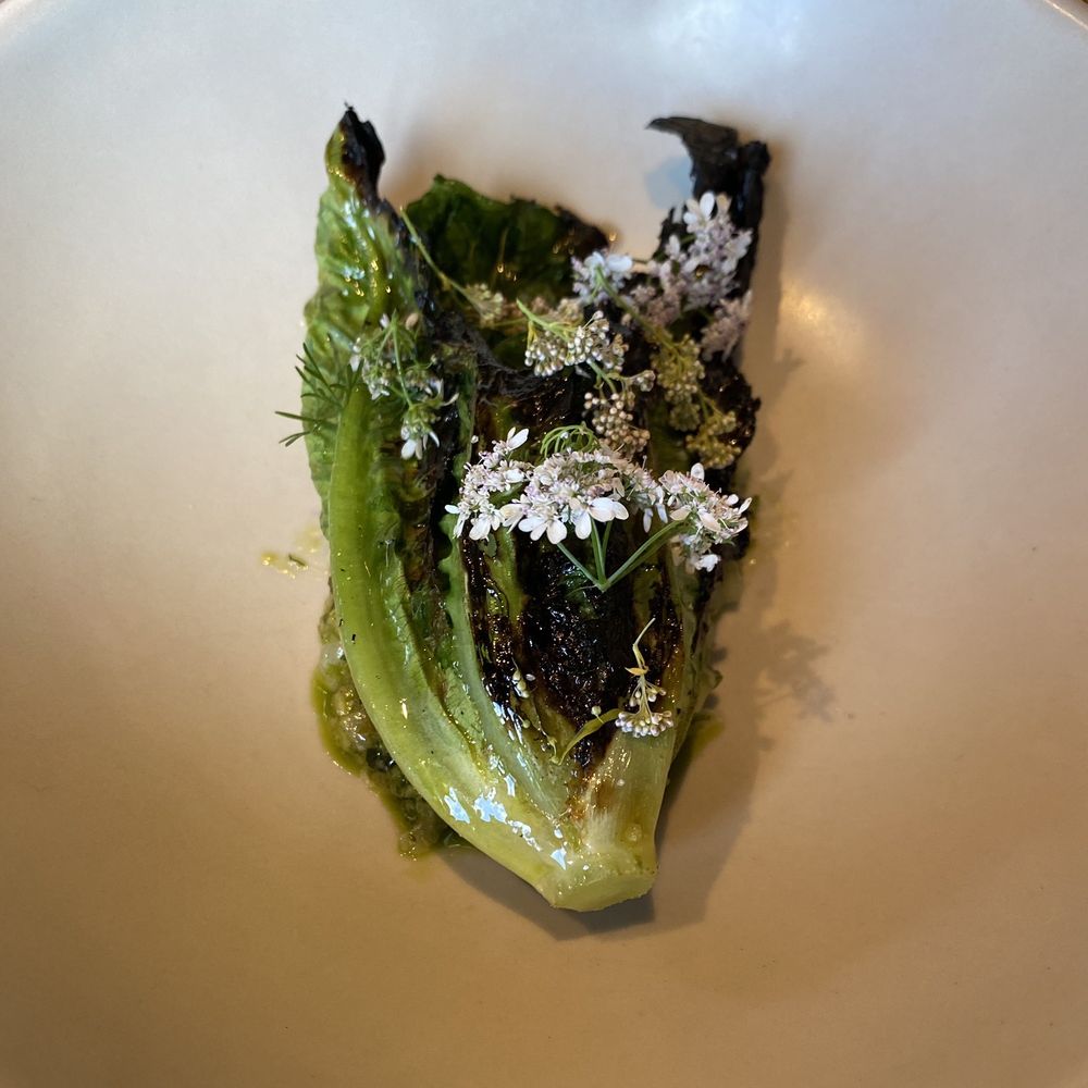 Barr - Grilled Romaine- Langoustine tartare, ramson and blackcurrant leaf - Modern European Near Me - København Barr - Grilled Romaine- Langoustine tartare, ramson and blackcurrant leaf - Modern European Near Me - København
