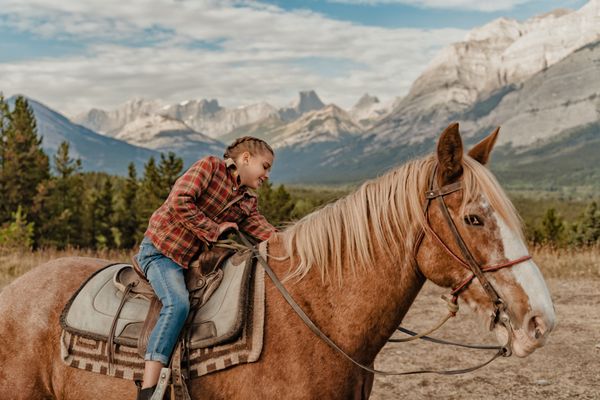 Boundary Ranch by null