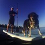 Photo of Santa Cruz Stand Up Paddle Board Company