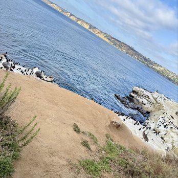 La Jolla Cove - Parks Near Me - La Jolla, California La Jolla Cove - Parks Near Me - La Jolla, California