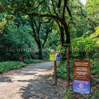 Huckleberry Botanic Regional Preserve - lower pinehurst trailhead - Parks Near Me - Oakland, California Huckleberry Botanic Regional Preserve - lower pinehurst trailhead - Parks Near Me - Oakland, California