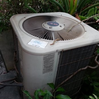 Presto Home Inspection - Roots growing into AC Compressor - Home Inspectors Near Me - Stuart, Florida Presto Home Inspection - Roots growing into AC Compressor - Home Inspectors Near Me - Stuart, Florida