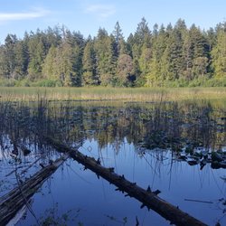 Gazzam Lake Preserve
