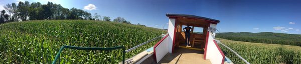 Great Vermont Corn Maze by null