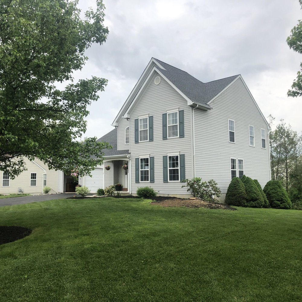 Reaching Higher - Tree Removed - Tree Services Near Me Reaching Higher - Tree Removed - Tree Services Near Me