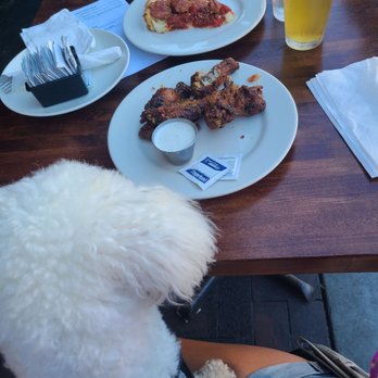 Rance's Chicago Pizza - Our wings and slice of pan pizza. Amazing. And of course they are dog friendly on their patio and they were very open and welcoming. - Pizza Near Me - Long Beach, California Rance's Chicago Pizza - Our wings and slice of pan pizza. Amazing. And of course they are dog friendly on their patio and they were very open and welcoming. - Pizza Near Me - Long Beach, California