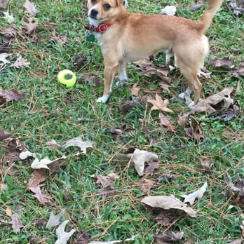 Wiggley Field - My four legged best buddy ever - Dog Parks Near Me - Spring, Texas Wiggley Field - My four legged best buddy ever - Dog Parks Near Me - Spring, Texas