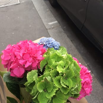 Mémé Dans Les Orties - Florists Near Me - Paris, 75
