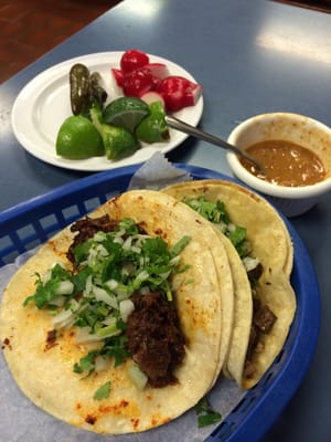 Taqueria El Rey by null