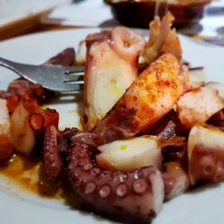 Julio‘s - Oktopus