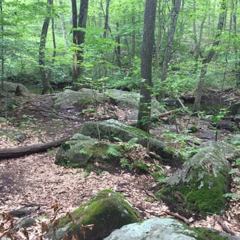 Purgatory Chasm State Reservation - Loop trail (easier) - Parks Near Me - Sutton, Massachusetts
