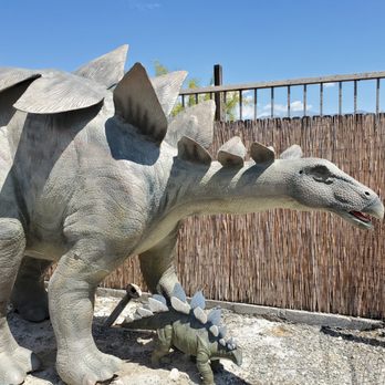 Cabazon Dinosaurs - Stegosaurus suns himself. - Museums Near Me - Cabazon, California Cabazon Dinosaurs - Stegosaurus suns himself. - Museums Near Me - Cabazon, California