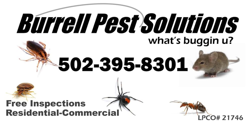BURRELL PEST CONTROL Updated August 2024 111 Demerson Ln, Frankfort, Kentucky Pest Control