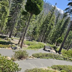 Trail of 100 Giants Gift Greeting Cards Email, Text or Print