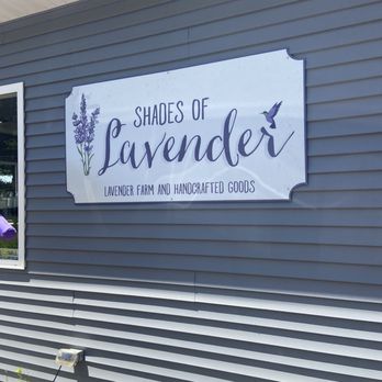 Shades of Lavender - Attraction Farms Near Me - Mattawan, Michigan Shades of Lavender - Attraction Farms Near Me - Mattawan, Michigan