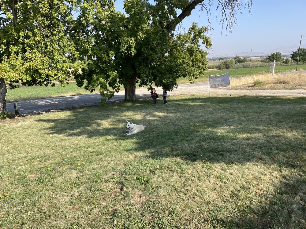 WILLIAMS FRUIT RANCH Updated September 2024 17 Photos 2455 W