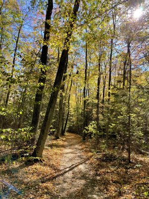 Newport State Park by null