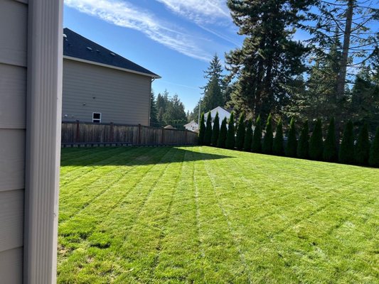 Sod & Artificial Turf Installation Services - Achieve a Gorgeous Lawn with Rial Landscaping – Sod & Artificial Turf Installation in Bellevue, Everett, Kirkland, Mill Creek, Sammamish & Snohomish, WA
Want a lush, green lawn without the hassle? Rial Landscaping specializes in sod installation and artificial turf installation for homes in Bellevue, Everett, Kirkland, Mill Creek, Sammamish, and Snohomish, WA.
Whether you’re looking for instant natural grass with professional sod laying or a low-maintenance artificial lawn that stays beautiful year-round, our team delivers fast, flawless results tailored to your property.
Call or text us today for a free quote and discover why local homeowners trust Rial Landscaping for their lawn transformations! Sod & Artificial Turf Installation Services - Achieve a Gorgeous Lawn with Rial Landscaping – Sod & Artificial Turf Installation in Bellevue, Everett, Kirkland, Mill Creek, Sammamish & Snohomish, WA
Want a lush, green lawn without the hassle? Rial Landscaping specializes in sod installation and artificial turf installation for homes in Bellevue, Everett, Kirkland, Mill Creek, Sammamish, and Snohomish, WA.
Whether you’re looking for instant natural grass with professional sod laying or a low-maintenance artificial lawn that stays beautiful year-round, our team delivers fast, flawless results tailored to your property.
Call or text us today for a free quote and discover why local homeowners trust Rial Landscaping for their lawn transformations!