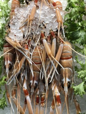 Fjord Fish Market by null