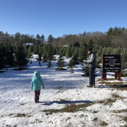 Ellsworth Christmas Tree Farm