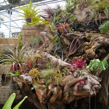 Rainforest Flora - Nurseries & Gardening Near Me - Torrance, California Rainforest Flora - Nurseries & Gardening Near Me - Torrance, California
