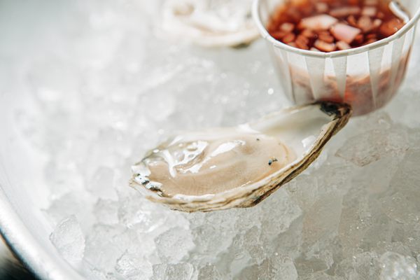 Miami Shores Fish Market "The Shores" by null