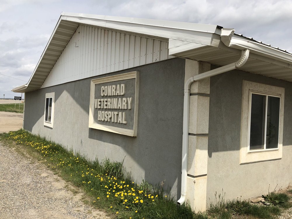 CONRAD VETERINARY HOSPITAL Updated September 2024 307 N Main St