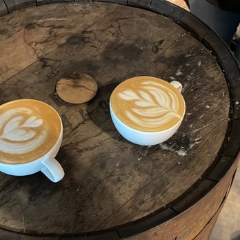 Elevation Coffee Roasters - Vanilla lattes - Coffee Roasteries Near Me - Tampa Bay, Florida