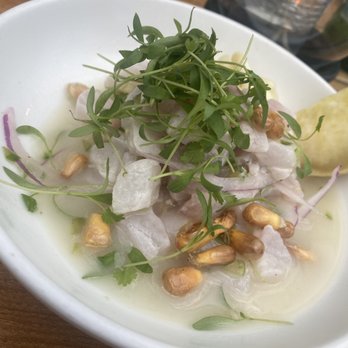 Amara at Paraiso - grouper ceviche - Latin American Near Me - Miami, Florida Amara at Paraiso - grouper ceviche - Latin American Near Me - Miami, Florida