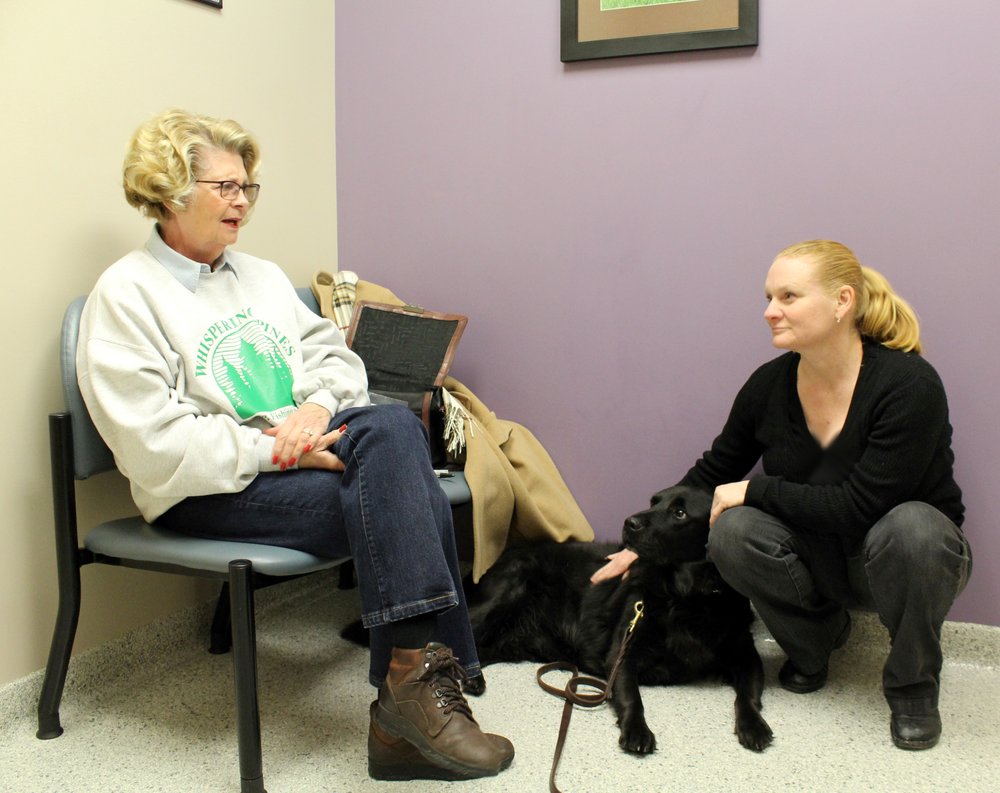 MEMORIAL ANIMAL HOSPITAL 20 Reviews 2222 State Rte 59, Kent, Ohio