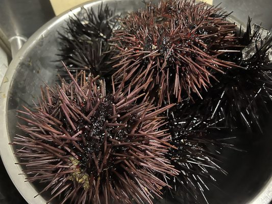 Sushi Bar 29 by null