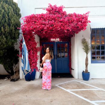 Yamas Greek Kitchen + Bar - Greek Near Me - Austin, Texas Yamas Greek Kitchen + Bar - Greek Near Me - Austin, Texas