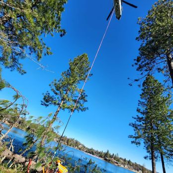 Flying Squirrel Tree Care - Tree Services Near Me - Grass Valley, California Flying Squirrel Tree Care - Tree Services Near Me - Grass Valley, California