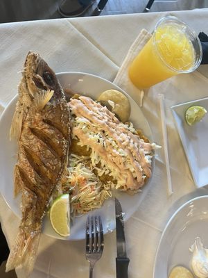 Los Roques Gourmet-La Suite Eventos by null