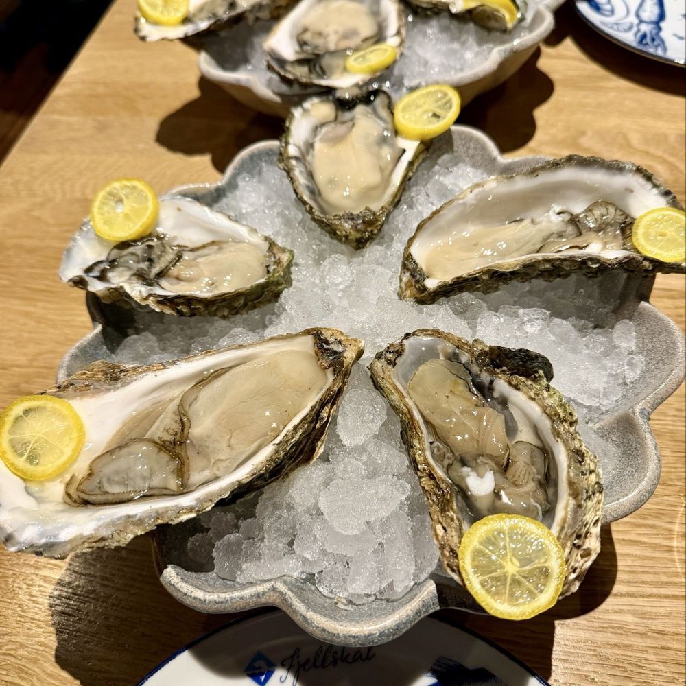 Fjellskaal Seafood Restaurant - Wild local gigas oysters - Seafood Near Me - Bergen, 12 Fjellskaal Seafood Restaurant - Wild local gigas oysters - Seafood Near Me - Bergen, 12