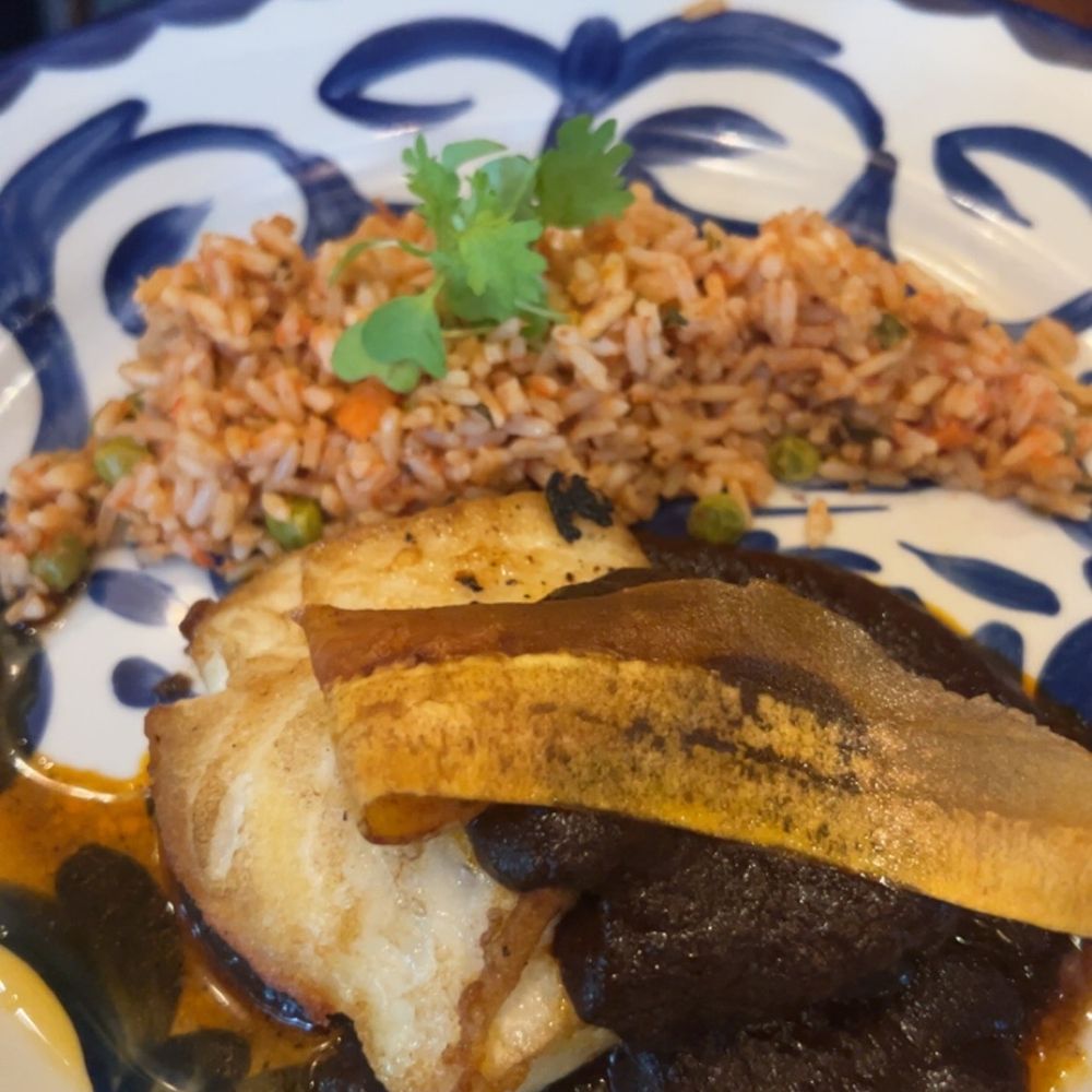 Don Artemio - Chilean Sea Bass with a side of rice and mole (the whole plate was on the smaller side for an entree) - Mexican Near Me - Fort Worth, Texas