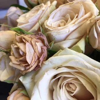 My Glendale Florist - Florists Near Me - Glendale, California My Glendale Florist - Florists Near Me - Glendale, California
