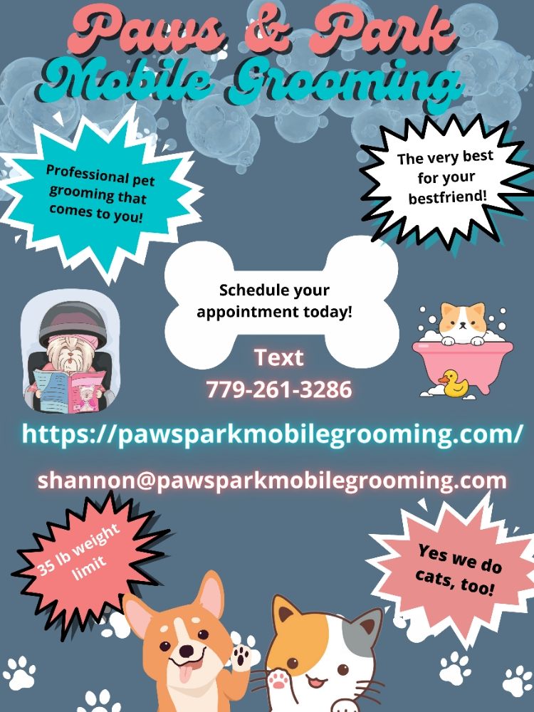 How to Become a Dog Groomer in NC: Start Your Business