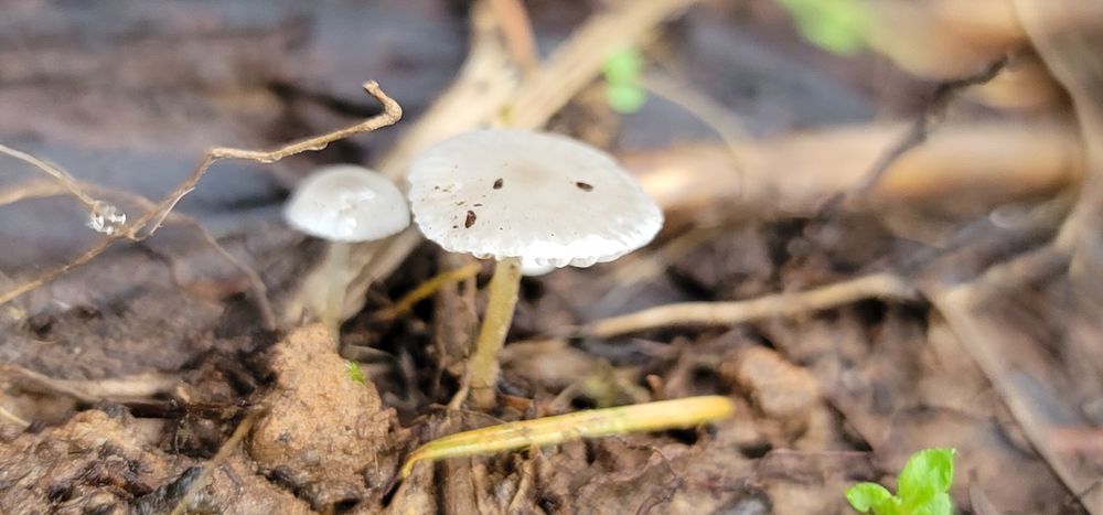 Happy Hopper Aquaponics Farm - beekeeping in Annapolis, CA