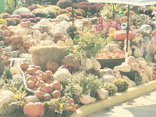 North Richland Hills Farmers Market by null