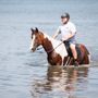 Photo of Sweetwater Stable