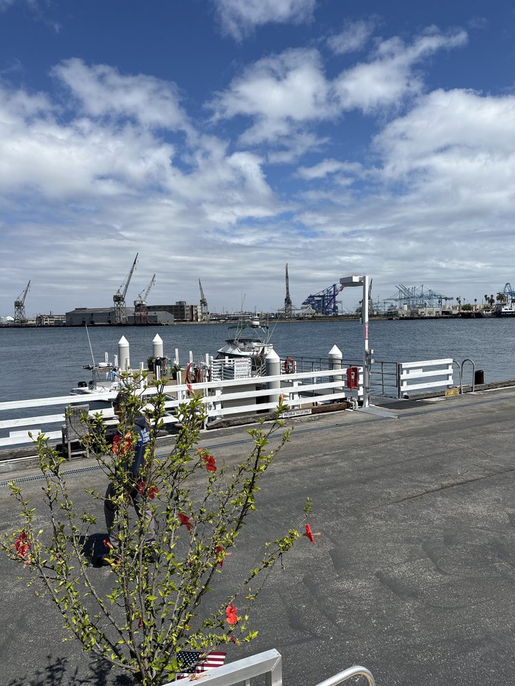 THE JANKOVICH COMPANY Updated October 2024 22 Reviews Berth 74