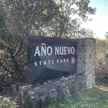 Año Nuevo State Park - Beaches Near Me - Pescadero, California
