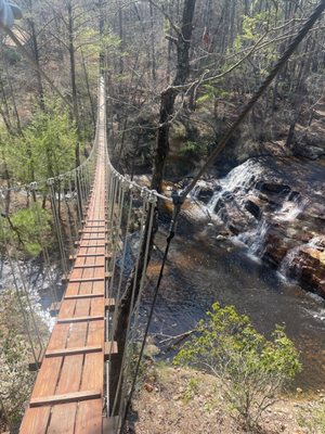 ZipQuest - Waterfall & Treetop Adventure by null